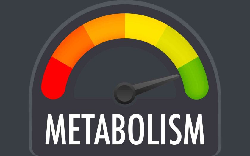 metabolism