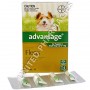 Advantage for Puppies and Small Dogs (Imidacloprid)