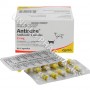 Antirobe (Clindamycin Hydrochloride) - 25mg (80 Capsules)